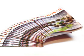 Kwartalnik PRONAR Nr 1(8)/2009